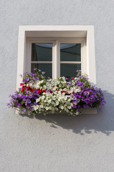 Zahnarztpraxis Dr. Hildegunde Heiß